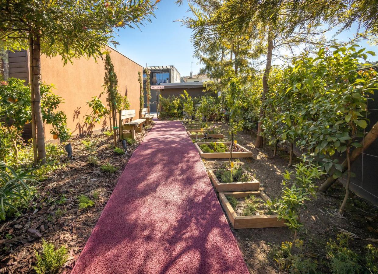 גימראייש Vale De Sao Torcato Hotel Rural מראה חיצוני תמונה